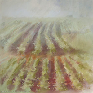 Vineyards 53×53. 2008