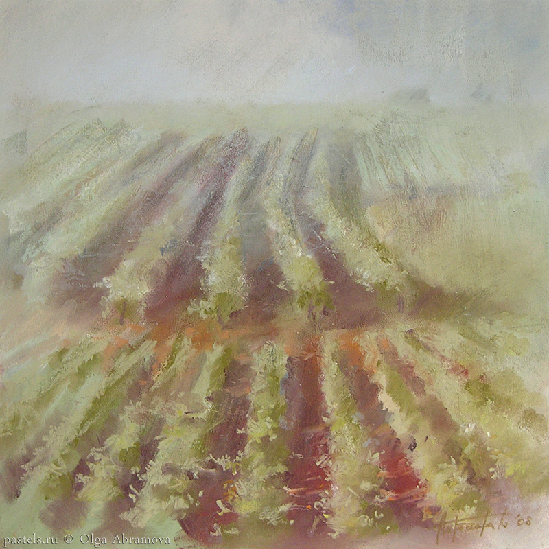 Vineyards 53x53. 2008