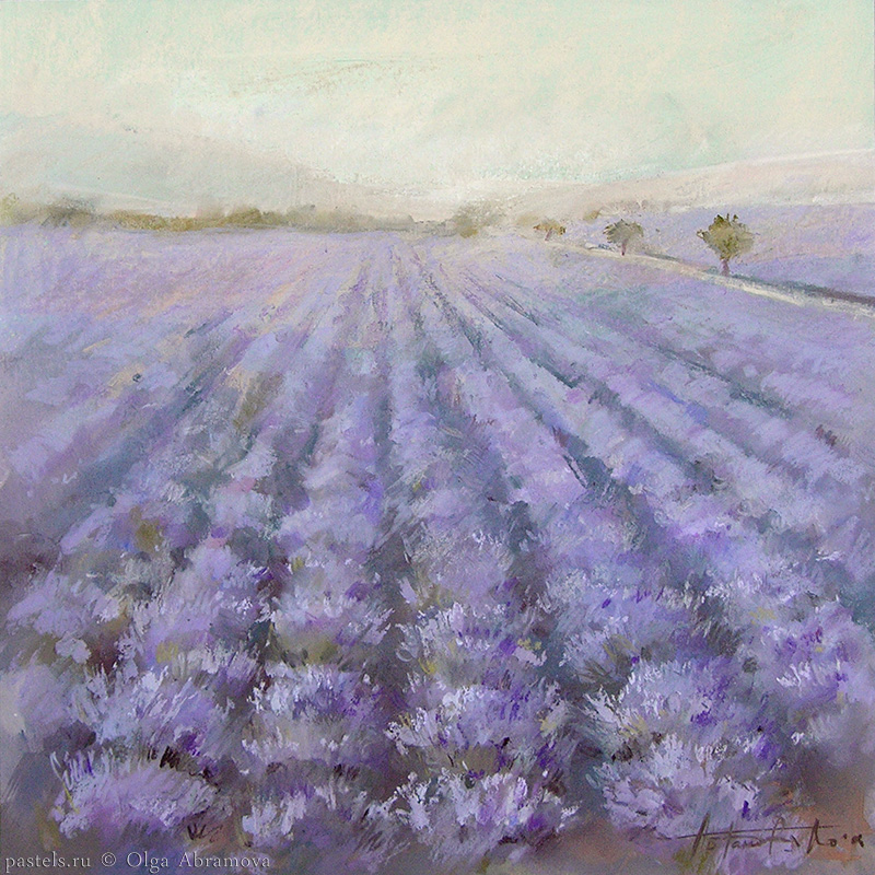 Lavender 1 53x53. 2008