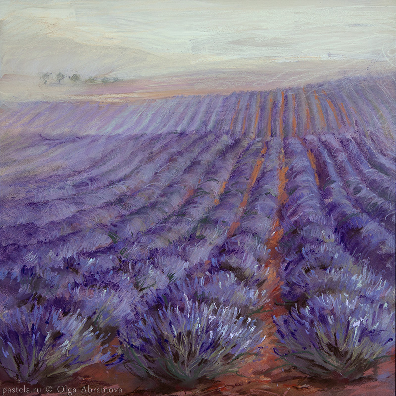 Lavender 2 53x53. 2010