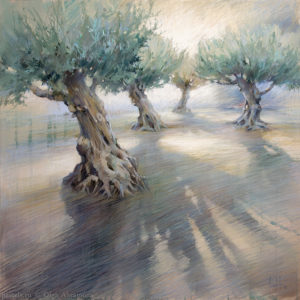 Catalan olive trees 90×90. 2016